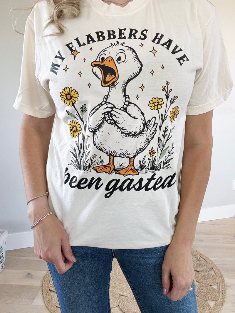 My Flabbers Have Been Gasted Graphic Tee or Pullover