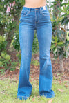 Judy Blue Neon Nights Flares