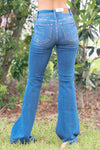 Judy Blue Neon Nights Flares