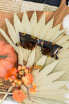 Famous Muse Sunglasses in Tortoise