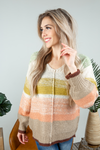 Stop Believing Color Block Top in Mustard, Mauve, and Mint (SALE)